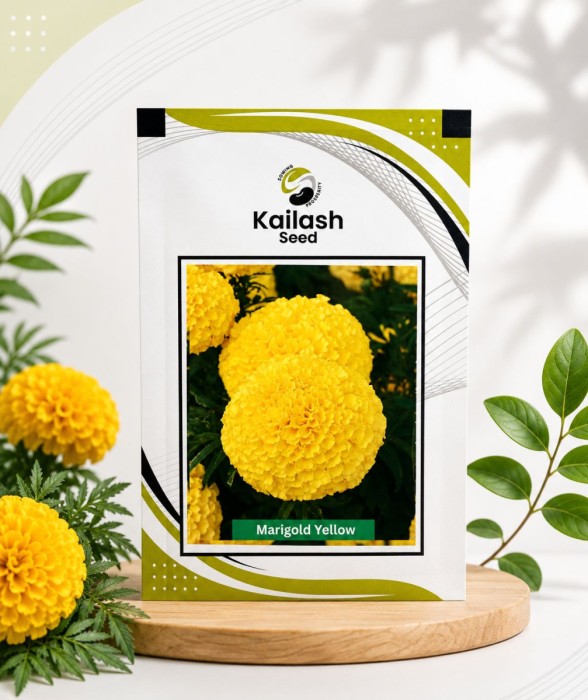 Marigold Yellow